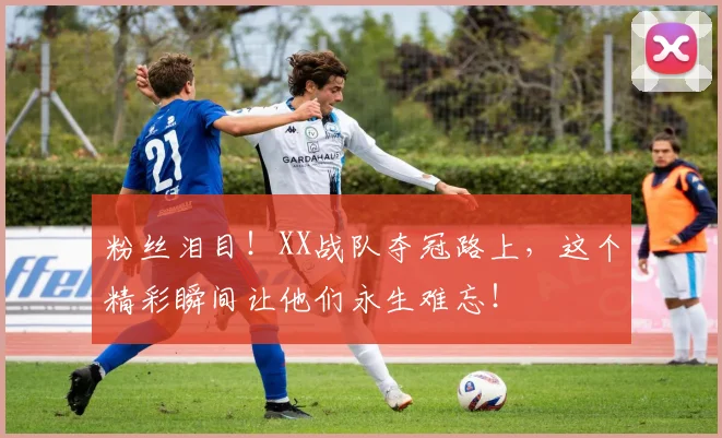 粉丝泪目!XX战队夺冠路上,这个精彩瞬间让他们永生难忘!