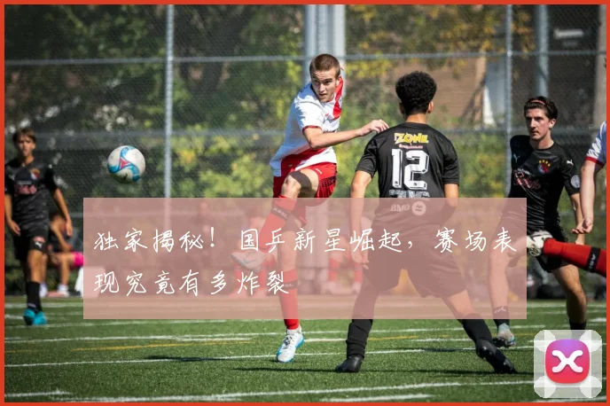 独家揭秘！国乒新星崛起，赛场表现究竟有多炸裂